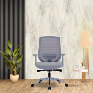 EVX MB-Ergonomic Mid back mesh chair