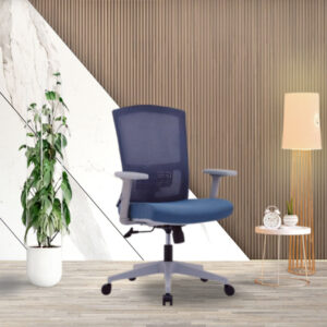 Ken MB-Ergonomic Mid back mesh chair