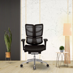 Fly MB-Ergonomic Mid back mesh chair