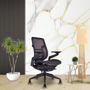 Extra MB-Ergonomic Mid back mesh chair