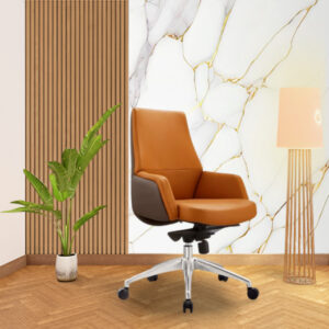 Eva MB-Executive mid back office chair