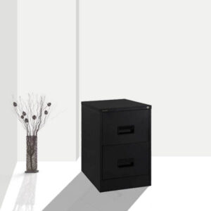 DW-202 [ Two Drawer Filing Cabinet