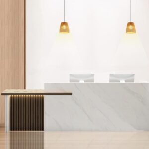 Leo [ Reception Desk