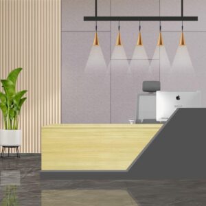 Nova [ Reception Desk