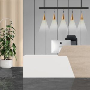 JD-White [ Reception Desk