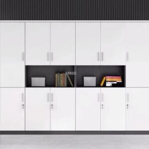 Case Book Shelf Cabinet