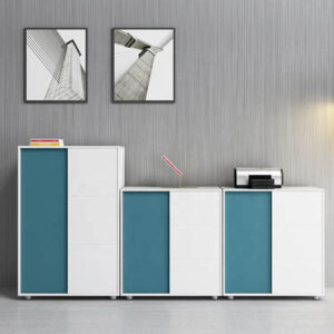 Delma Sliding Door Cabinet