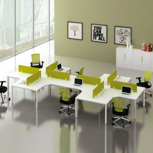 DX Office workstation