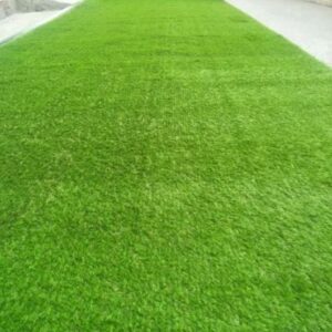 Artificial Grass